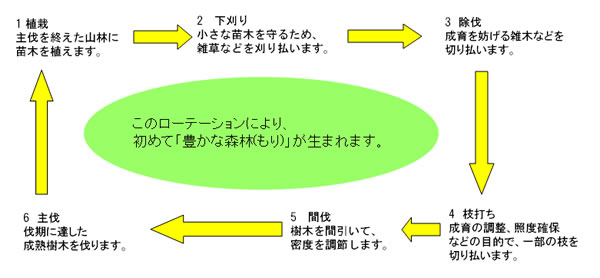 森林整備事業イメージ