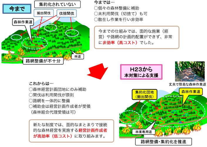 森林管理と補助金の仕組み